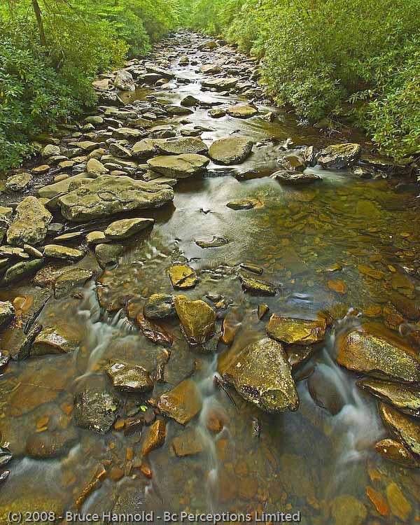 ROCKY STREAM